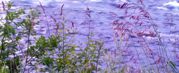 2014-07-21_20-59-06_213-2