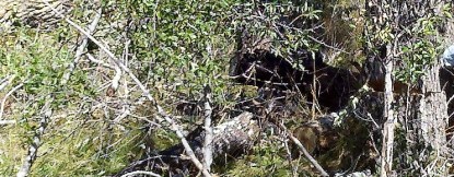 2014-08-29_12-50-26_254-2