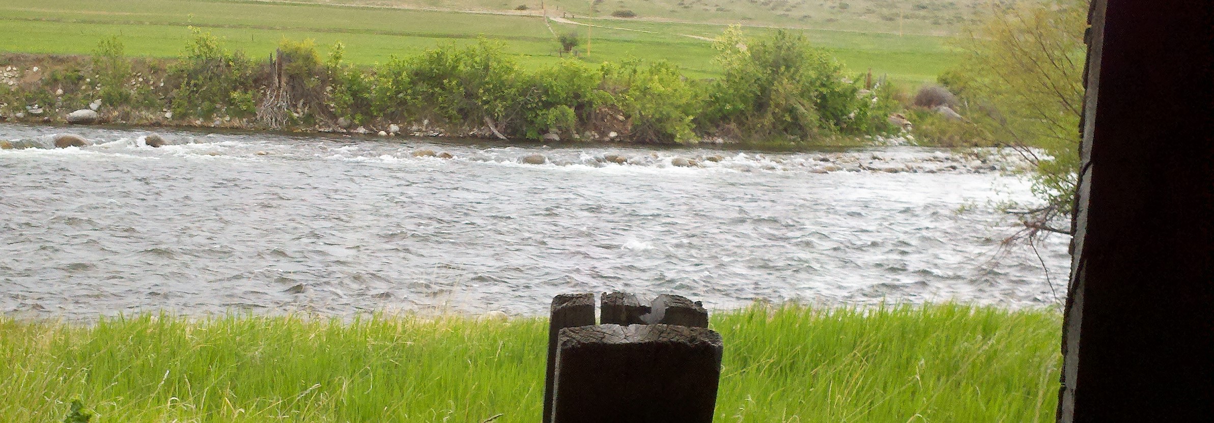 contemplation corner (2)