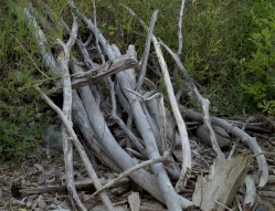 2014-08-08_17-28-06_865 (2)