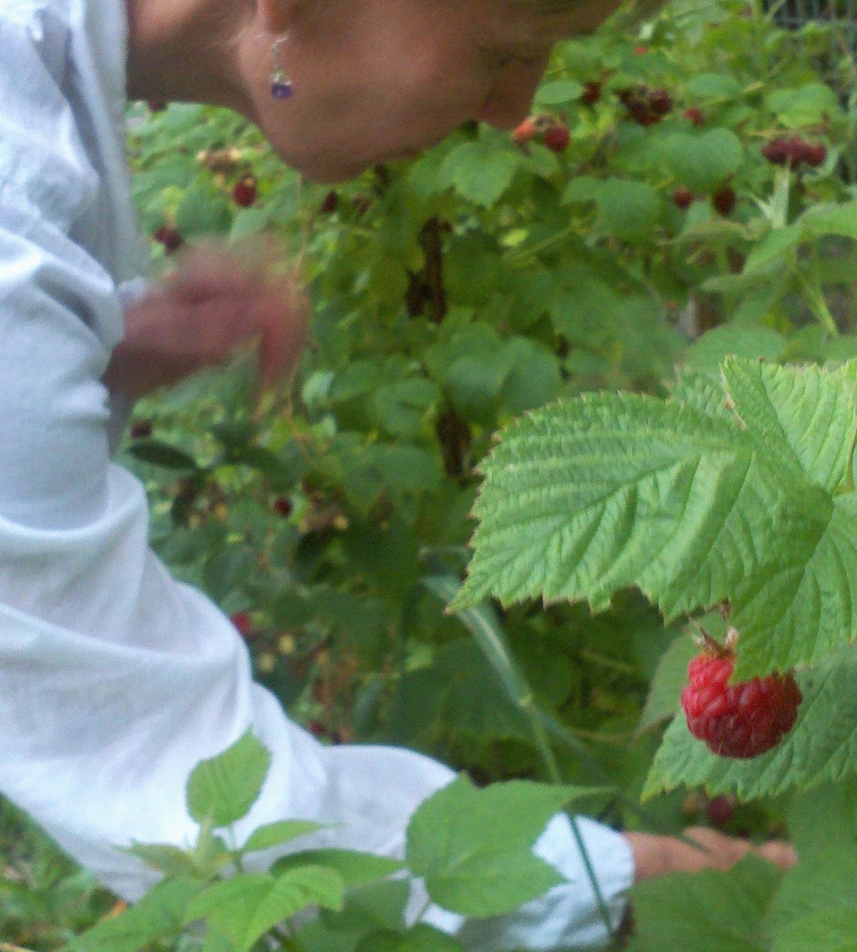 imported from the camera april 2014 411 (3)